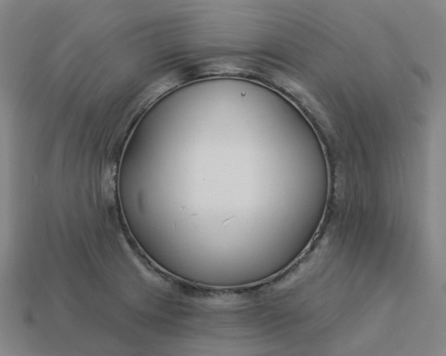 X0000114081233200910191536