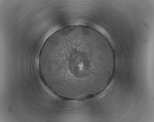 X0000114081234200910191536