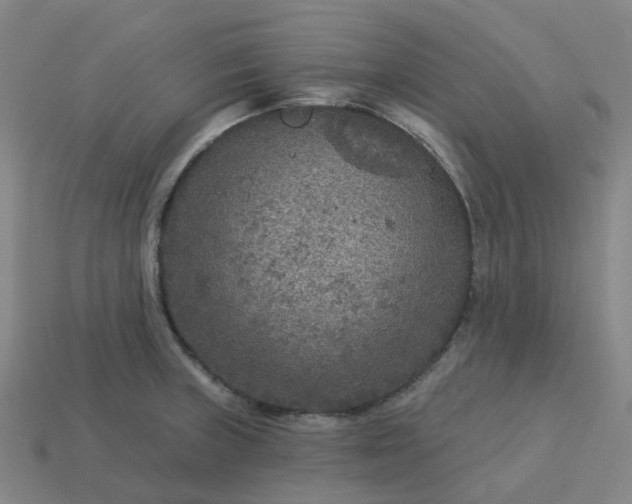 X0000114081235200910191536