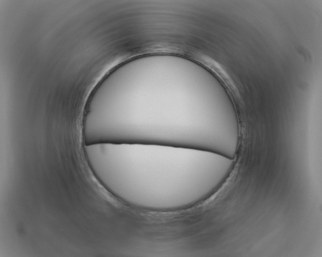 X0000114081236200910191536