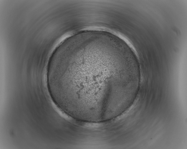 X0000114081237200910191536