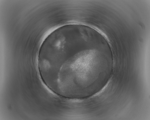 X0000114081239200910191536