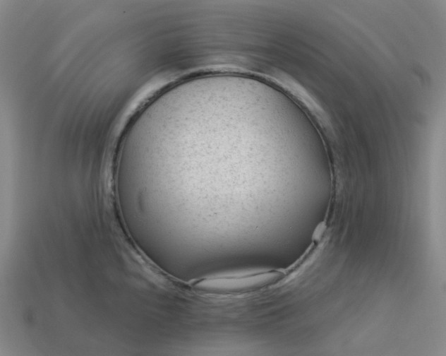 X0000114081240200910191536