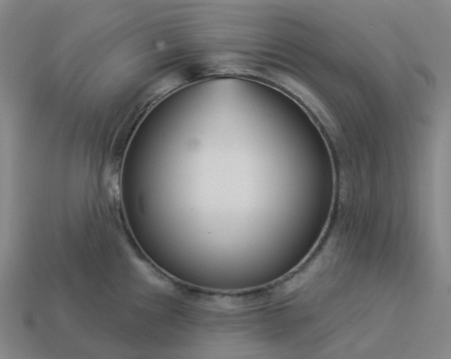 X0000114081241200910191536