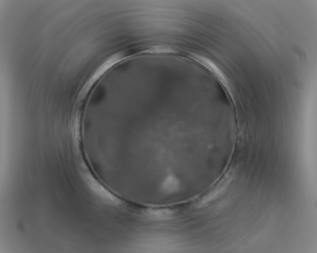 X0000114081243200910191536