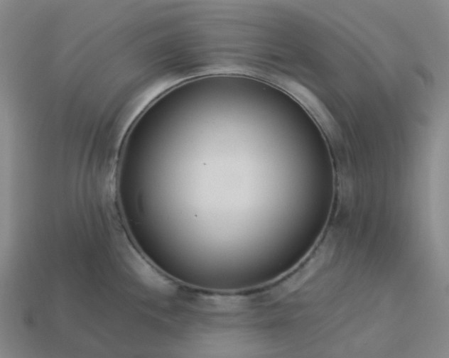 X0000114081244200910191536