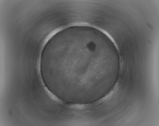 X0000114081245200910191536