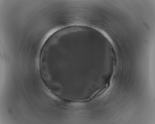 X0000114081246200910191536