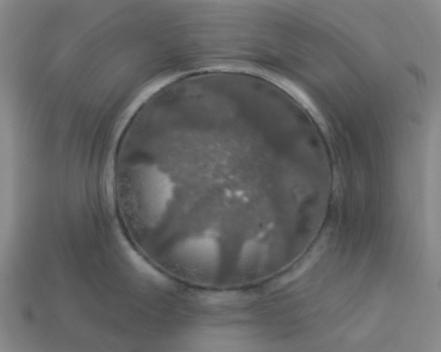 X0000114081247200910191536