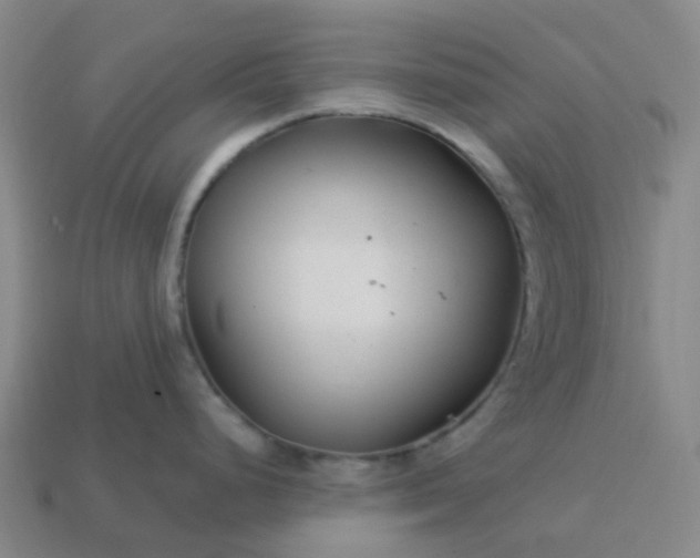 X0000114081248200910191536