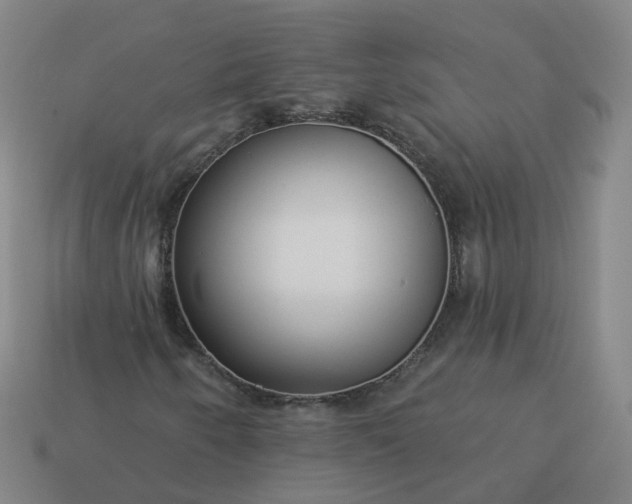 X0000114081250200910191535