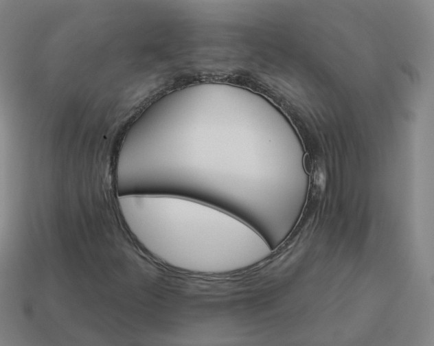 X0000114081252200910191535