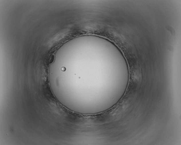 X0000114081253200910191535