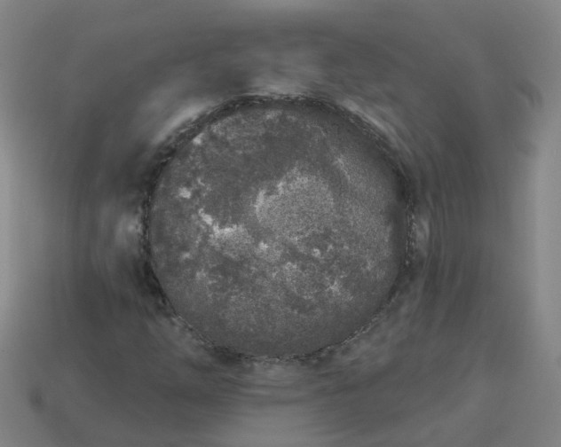 X0000114081254200910191535