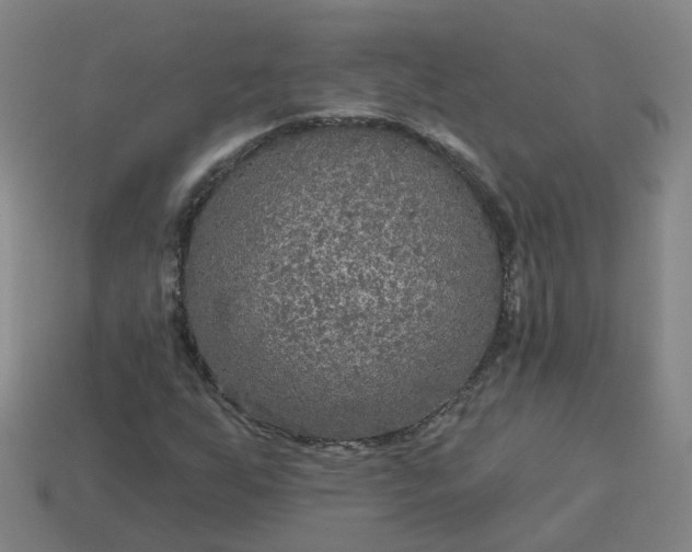 X0000114081255200910191535