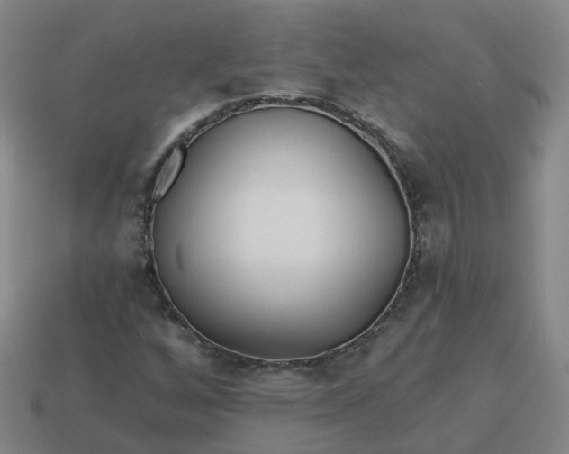 X0000114081256200910191535