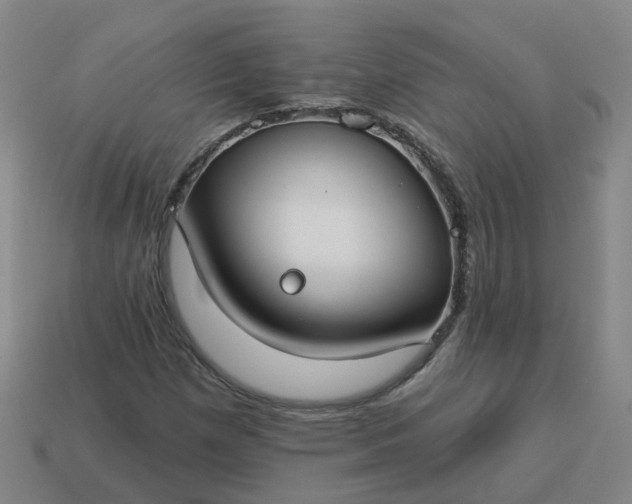 X0000114081257200910191535