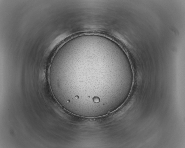 X0000114081259200910191535