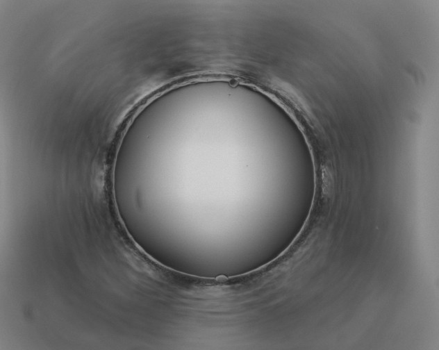 X0000114081260200910191535