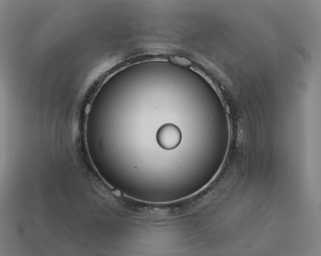 X0000114081261200910191535