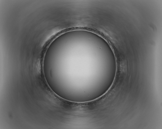 X0000114081262200910191535