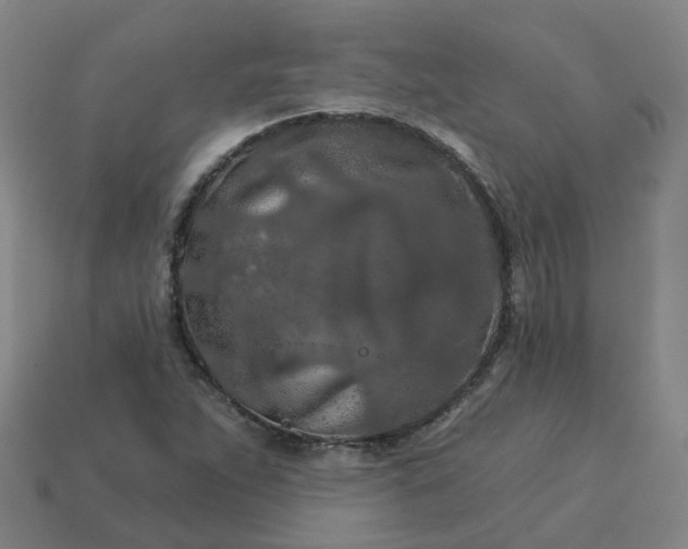 X0000114081263200910191535