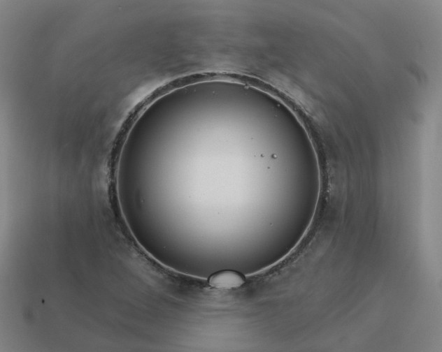 X0000114081264200910191535