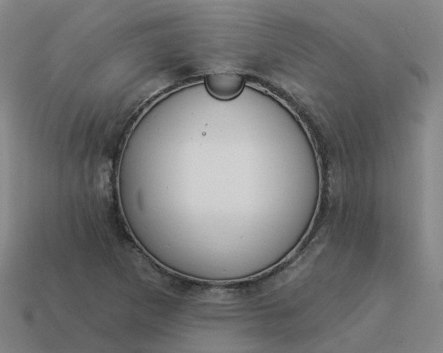 X0000114081265200910191535