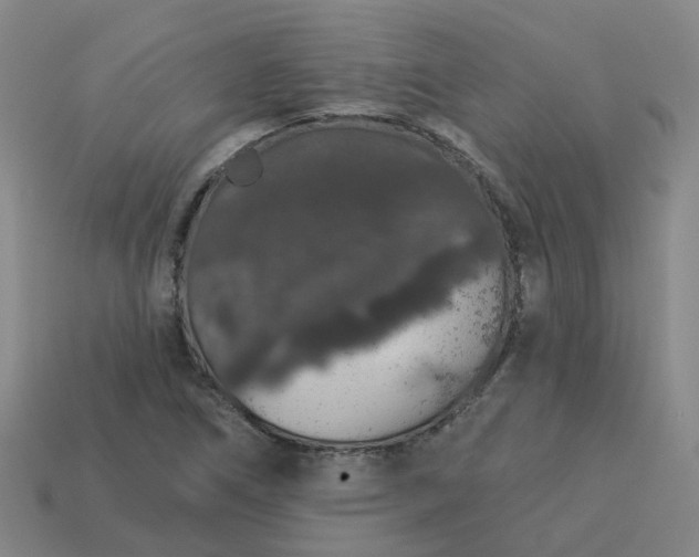 X0000114081266200910191535