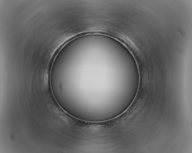 X0000114081268200910191535