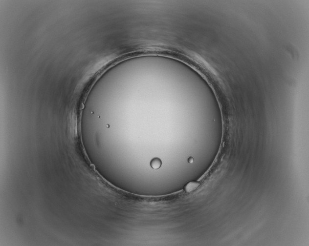 X0000114081269200910191535