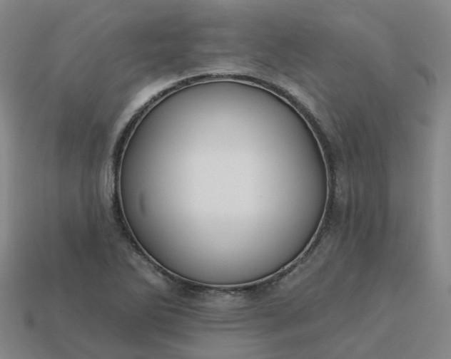 X0000114081270200910191535