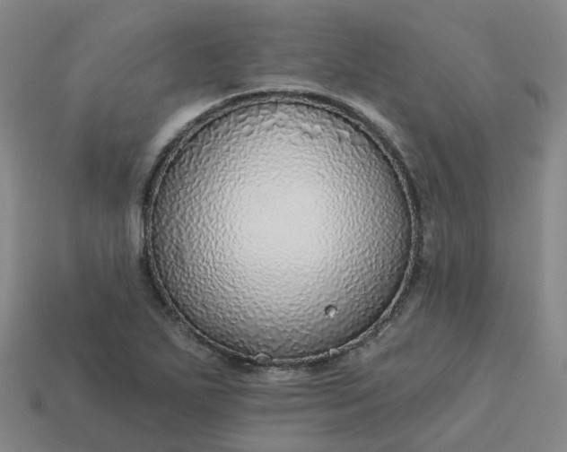 X0000114081271200910191535