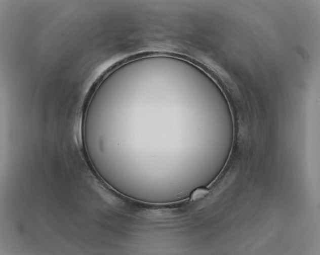 X0000114081272200910191535