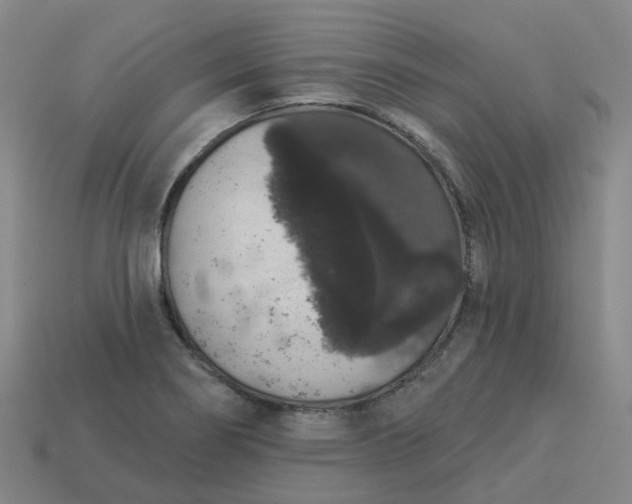 X0000114081274200910191535