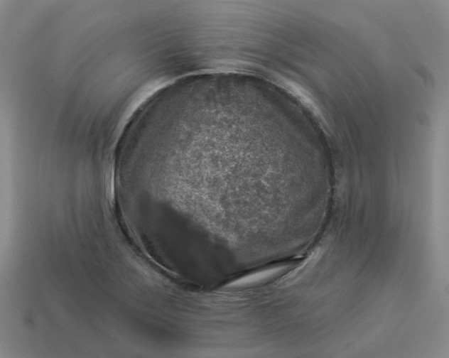 X0000114081275200910191535