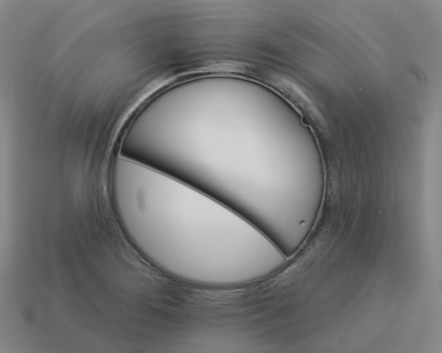 X0000114081276200910191535