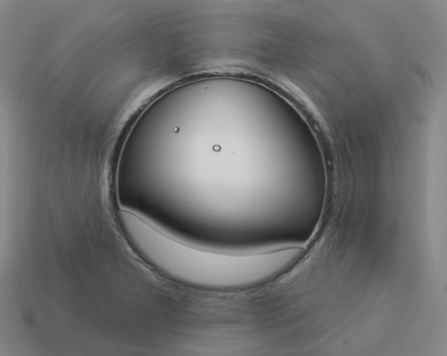 X0000114081277200910191535