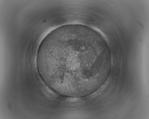 X0000114081278200910191535