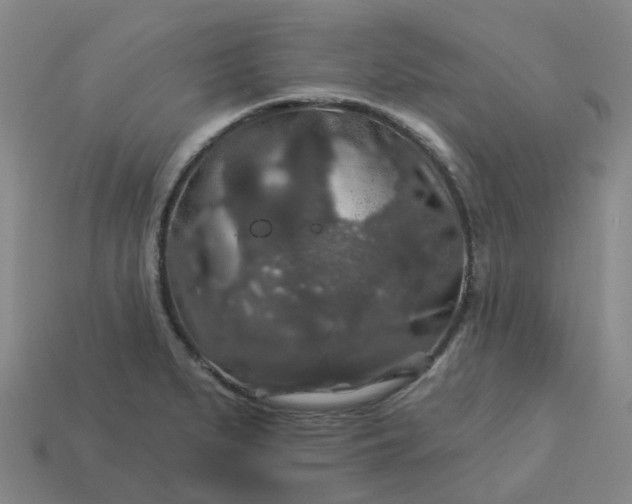 X0000114081279200910191535