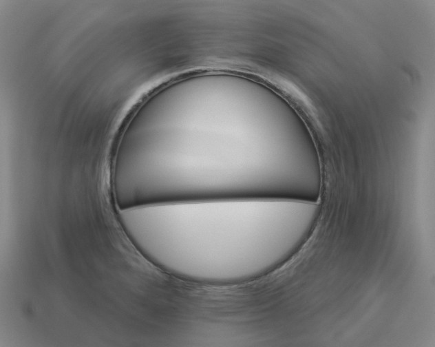 X0000114081280200910191535