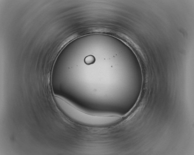 X0000114081281200910191535