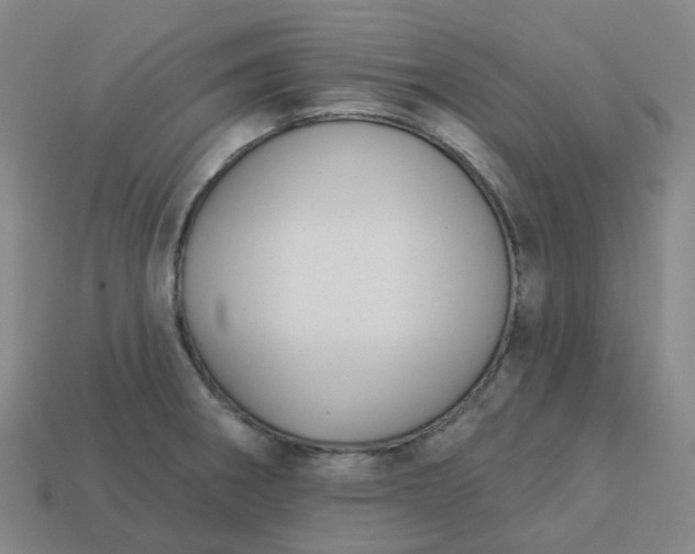 X0000114081282200910191535