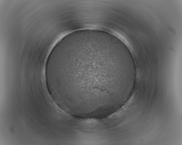 X0000114081283200910191535