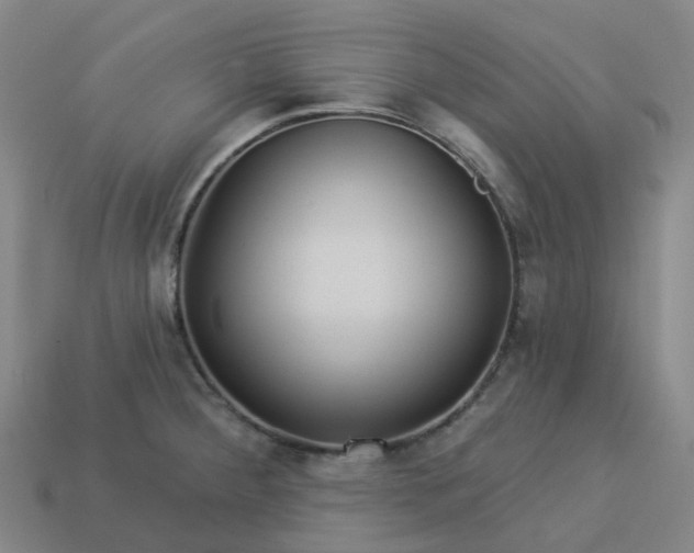 X0000114081284200910191535