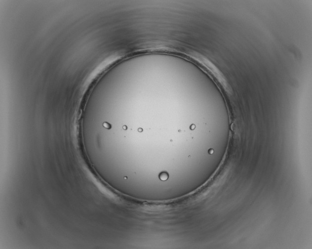 X0000114081285200910191535