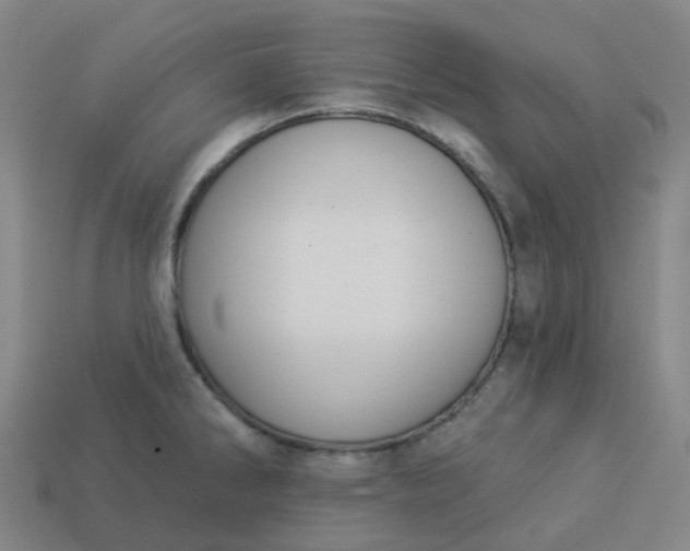 X0000114081286200910191535