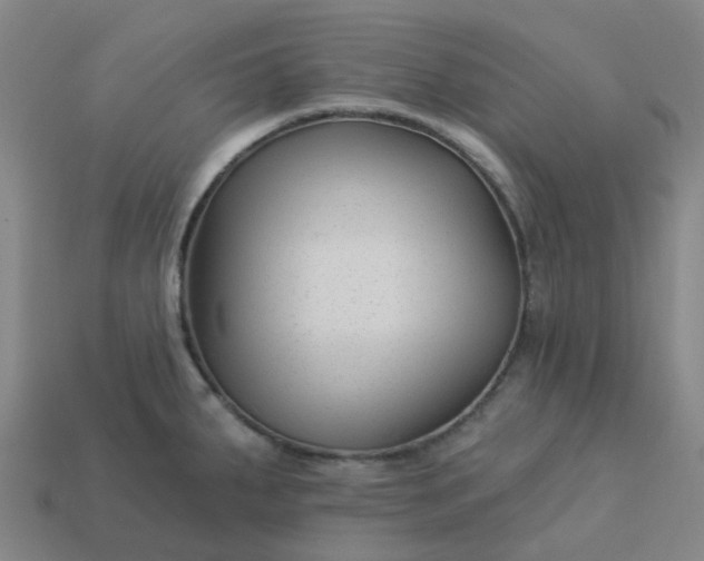 X0000114081287200910191535