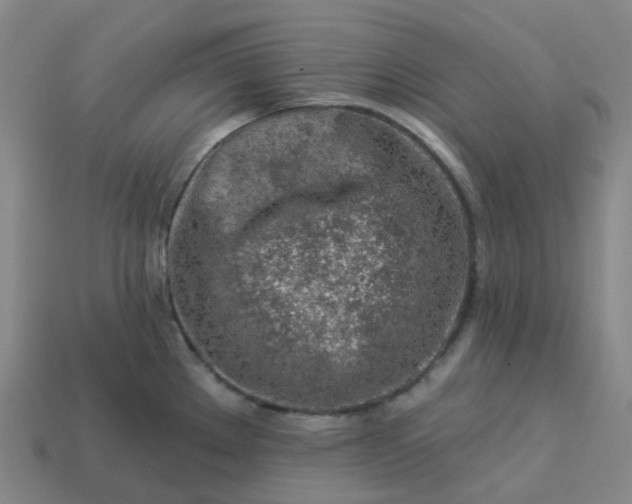 X0000114081289200910191535