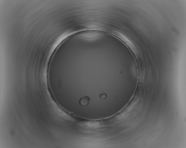 X0000114081291200910191535